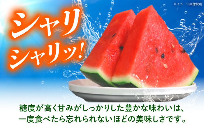 【先行予約】 大玉スイカ 約7kg以上（1玉） 【とみおか農園】 [ZEM004]