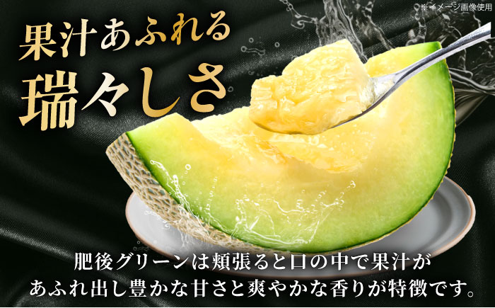 【先行予約】  肥後グリーン メロン 約4kg（2玉） 【とみおか農園】 [ZEM006]