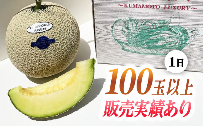 【先行予約】年内発送 愛情 メロン 1玉【とみおか農園】 [ZEM007]