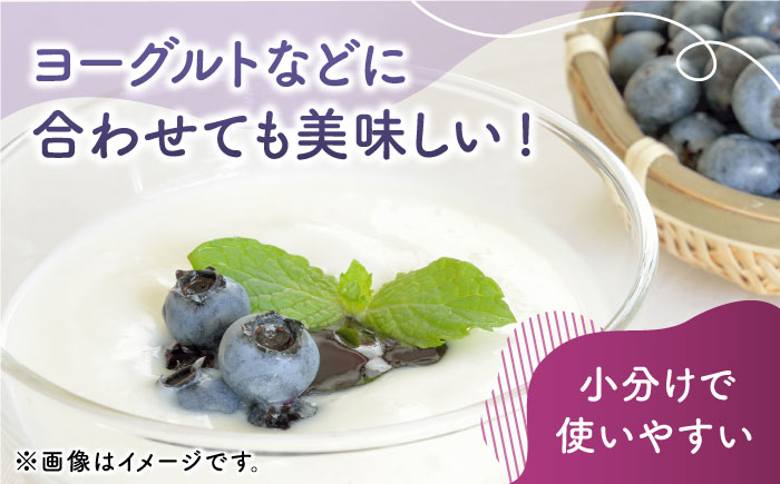 【先行予約】大粒 ブルーベリー 約1000g（約250g×4pc） 【すみれファーム】 [ZEP002]