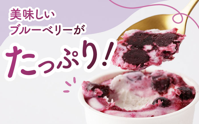 【3回定期便】ブルーベリーアイスクリーム 6個セット 【すみれファーム】 [ZEP033]