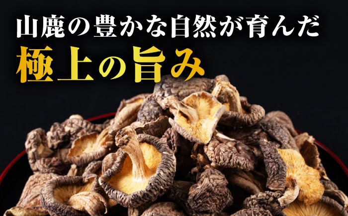 原木 干ししいたけ 大袋480ｇ（120ｇ×4袋） 【すみれファーム】 [ZEP071]