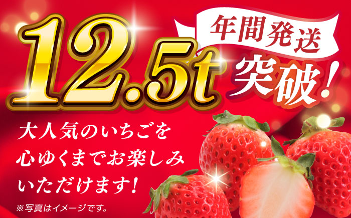 冷凍 いちご ゆうべに 約4kg【熊本ベリー】 [ZER015]