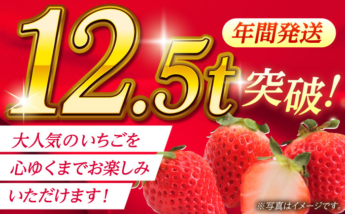 【先行予約】【5回定期便】大粒いちご L～2L ゆうべに 2kg（8pc）【熊本ベリー】 [ZER017]