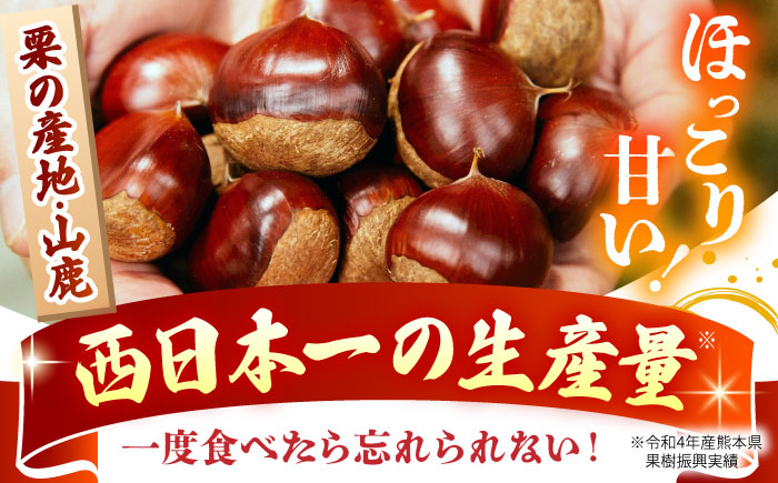 【先行予約】 【渋皮あり・なし両方楽しめる！】食べ比べ やまが和栗 大粒むき栗 計約600g（渋皮付き約150g×2pc・渋皮なし約150g×2pc）小分け【古川農園】 [ZES003]