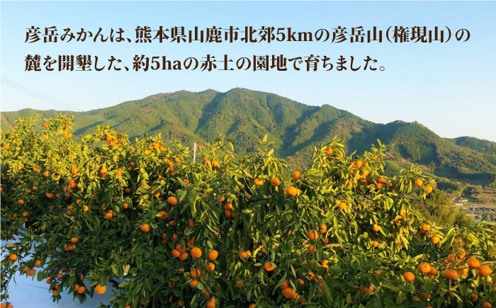 彦岳みかん100% ジュース 720ml×2本【愛隣農園】 [ZEU001]