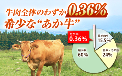 【12回定期便】あか牛サーロイン ステーキ用 約800g（約200g×4枚）【吉里精肉】 [ZEW053]