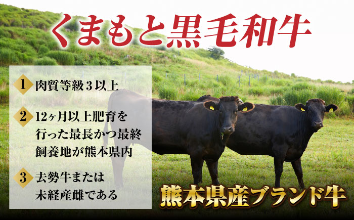 【3回定期便】黒毛和牛サーロイン スライス 約400g（約200g×2pc）【吉里精肉】 [ZEW072]