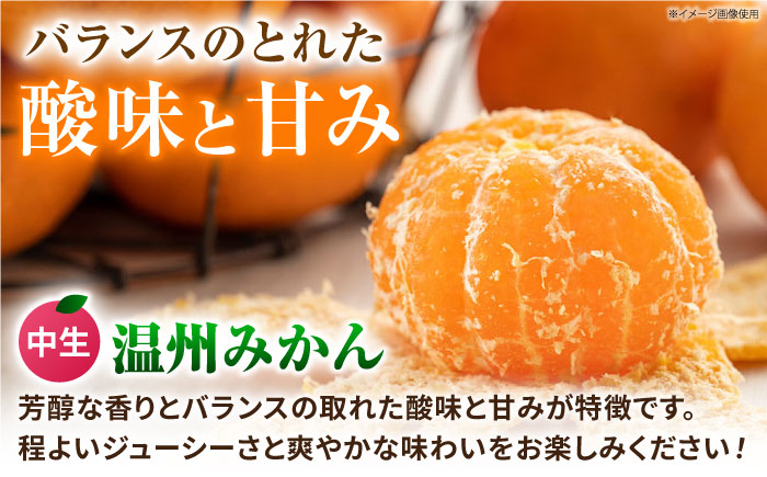 中生温州みかん 5kg 【池田農園】 [ZEX003]