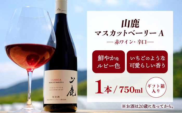 菊鹿シャルドネ&山鹿マスカットベーリーA2024 ワイン2本セット 化粧箱付【菊鹿ワイナリー】 [ZFB006]