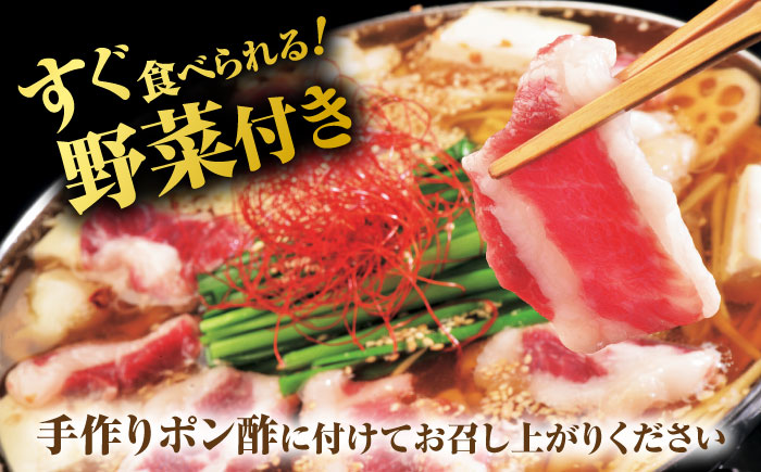 “お鍋さえあればすぐに食べれる”コラーゲンたっぷり女性的、美肌醤油スープ「姫さま鍋」(白濁あっさり醤油味2～3人前)【オルガニコ山鹿】 [ZFH002]