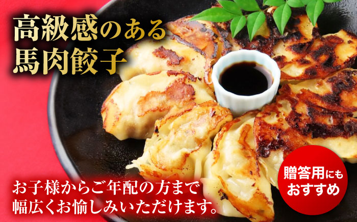 新感覚！ウマ肉うまうま餃子（20個×3パック）【オルガニコ山鹿】 [ZFH006]