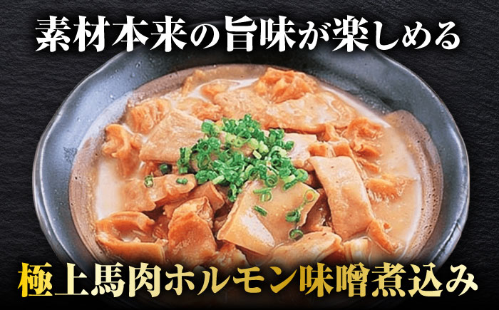 極上！馬肉ホルモン味噌煮込み（約180g×10）【オルガニコ山鹿】 [ZFH008]