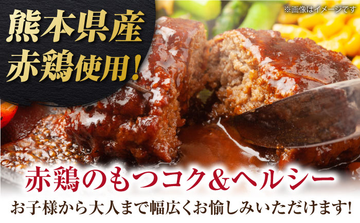 熊本の美味しいヘルシーハンバーグ　熊本赤鶏使用　デミソース味 2個（520g）×4パック 計8個【オルガニコ山鹿】 [ZFH011]