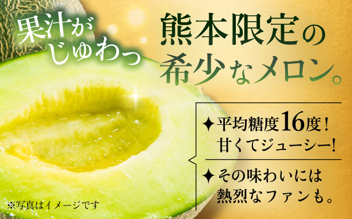 【先行予約】肥後グリーンメロン 約2kg(1玉入)  メロン グリーンメロン フルーツ 熊本県産 【日本フルーツ株式会社】 [ZFJ005]