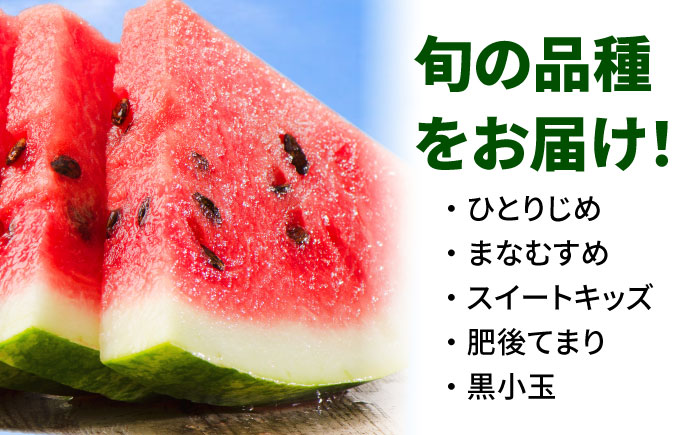 【先行予約】小玉スイカ 3L以上 2玉入り 約2.5kg 【日本フルーツ株式会社】 [ZFJ007]