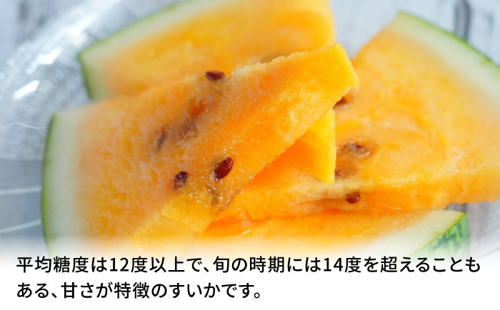 【先行予約】金色羅皇 スイカ 2L以上 1玉 約7kg すいか 野菜 フルーツ 果物 【日本フルーツ株式会社】 [ZFJ008]