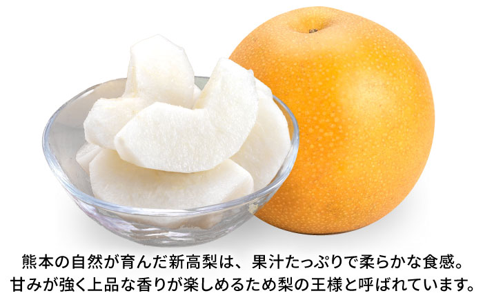 【先行予約】新高梨　約5kg  梨 ナシ フルーツ 果物 【日本フルーツ株式会社】 [ZFJ017]