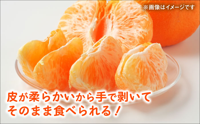 【先行予約】 デコポン　約5kg 柑橘 みかん 蜜柑 熊本 フルーツ 果物 【日本フルーツ株式会社】 [ZFJ034]