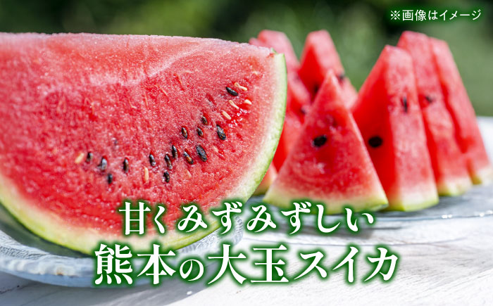 【先行予約】 大玉スイカ Lサイズ 2玉入り 約10kg すいか 大玉 熊本 フルーツ 野菜 果物 【日本フルーツ株式会社】 [ZFJ044]