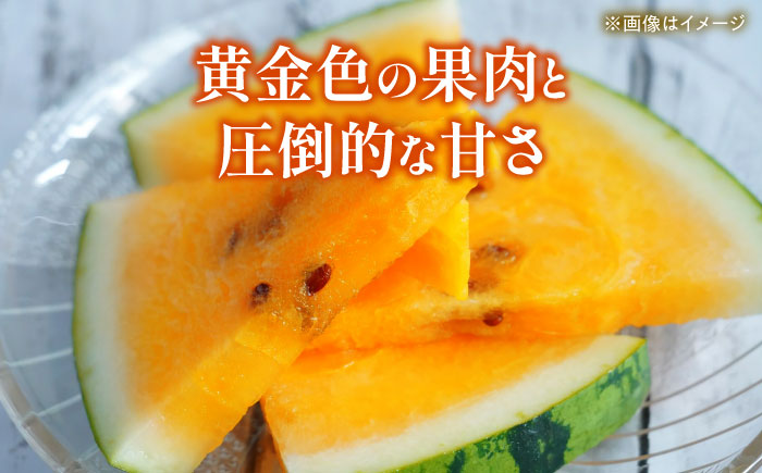 【先行予約】 金色羅皇 スイカ 3Lサイズ 2玉 約14kg すいか 黄色 熊本 フルーツ 野菜 果物 【日本フルーツ株式会社】 [ZFJ048]