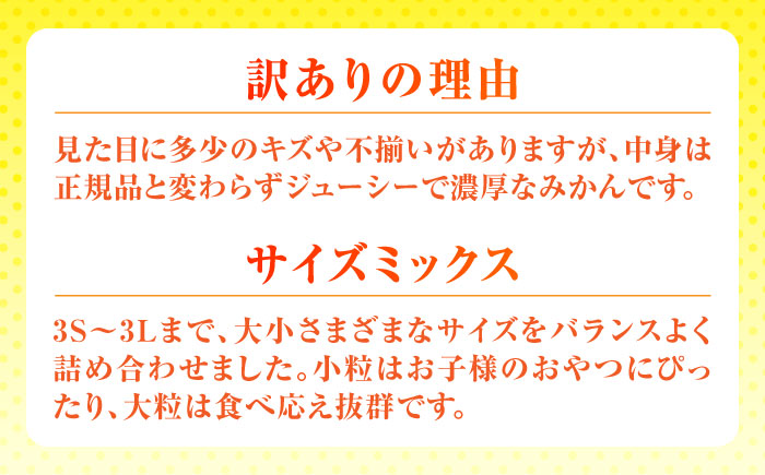 【先行予約】 温州みかん 訳あり サイズミックス 3S-3L 約3kg みかん 蜜柑 サイズ 不選別 家庭用 柑橘 フルーツ 果物 【日本フルーツ株式会社】 [ZFJ049]