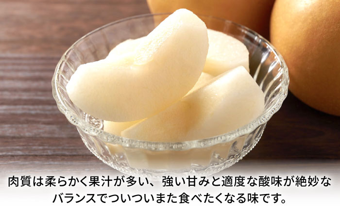 【先行予約】豊水梨　約1.8kg 梨 ナシ フルーツ 果物 【日本フルーツ株式会社】 [ZFJ059]