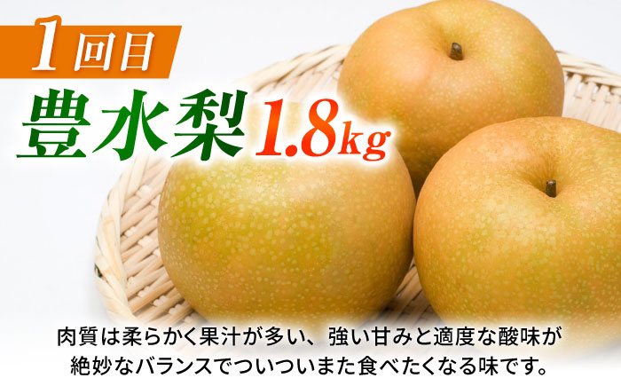【先行予約】【3回定期便】 梨 約1.8kg 計約5.4kg（豊水・秋月・新高）  梨 ナシ フルーツ 果物 【日本フルーツ株式会社】 [ZFJ069]