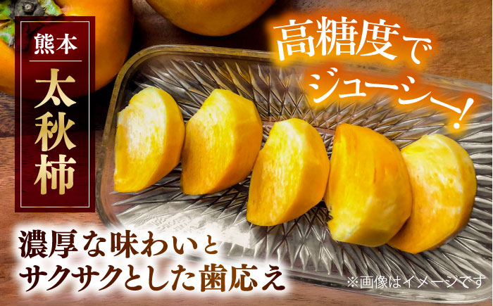 【先行予約】太秋柿 約6kg 柿 カキ フルーツ 果物 秋 【日本フルーツ株式会社】 [ZFJ071]
