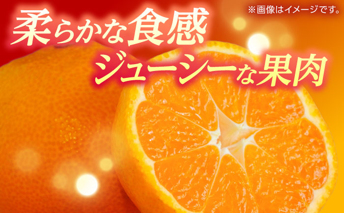 温州みかん 『青島』 約5kg S～Lサイズ 【奥村果実園】 [ZFK005]