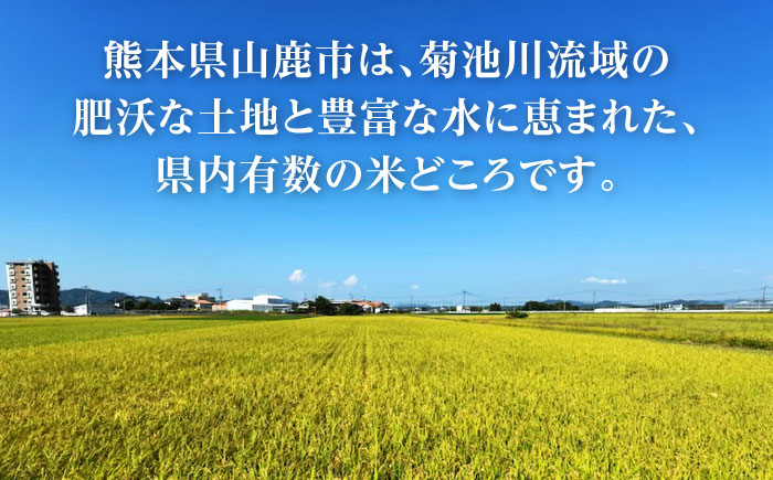 【先行予約】 令和8年度産 ヒノヒカリ 玄米 30kg 【奥村果実園】 [ZFK011]