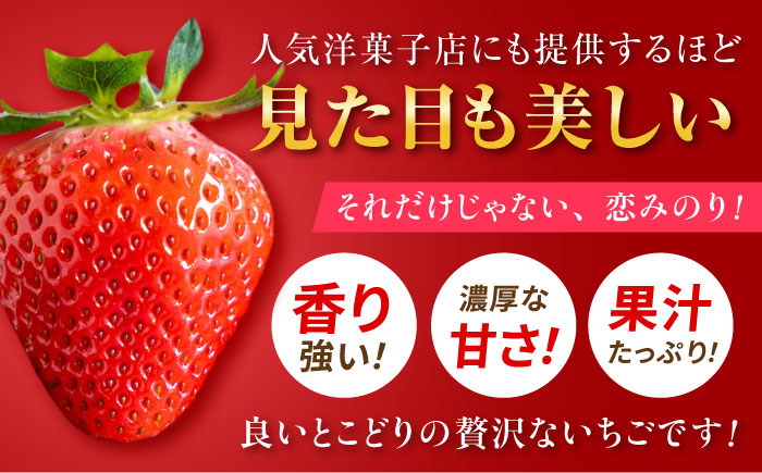 【先行予約】こば農園のこだわりいちご　恋みのり 約540g（約270g：6~11粒×2パック） 【合同会社 こば農園】 [ZFO001]