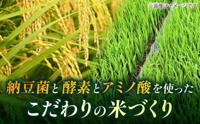 〈令和7年度新米〉 こば農園のお米 くまさんの輝き 『山鹿湧水米』 白米 5kg 【合同会社 こば農園】 新米 令和7年産 [ZFO002]