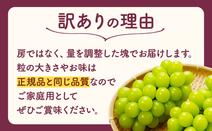 【先行予約】【訳あり】 こば農園 こだわりのシャインマスカット 約600g 【合同会社 こば農園】 [ZFO008]