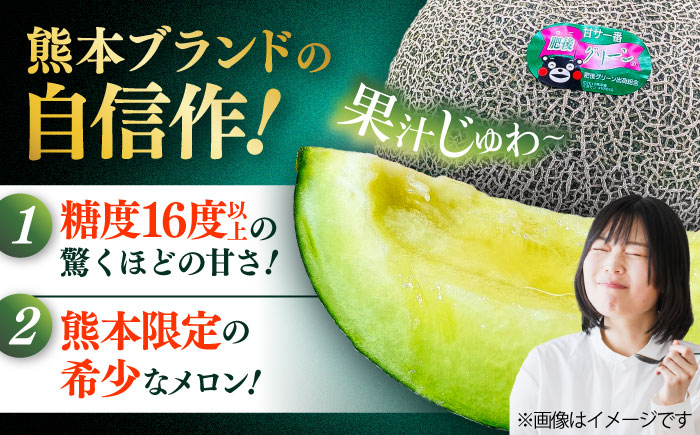 【先行予約】  山鹿の恵み! 匠の育てた　肥後グリーン メロン 約4kg以上（約2kg以上×2玉）【きもと農園】 [ZFQ001]