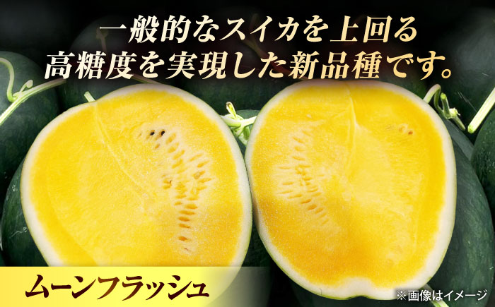 【先行予約】 山鹿の恵み! 匠の育てたムーンフラッシュ　大玉スイカ(約8kg前後×1玉)【きもと農園】 [ZFQ005]