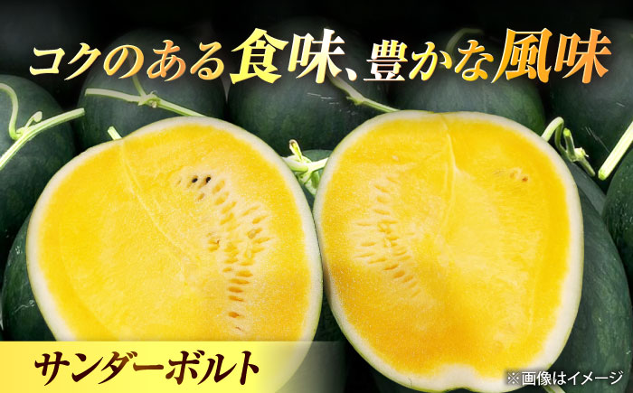 【先行予約】 山鹿の恵み! 匠の育てたサンダーボルト　大玉スイカ(約8kg前後×1玉)【きもと農園】 [ZFQ006]