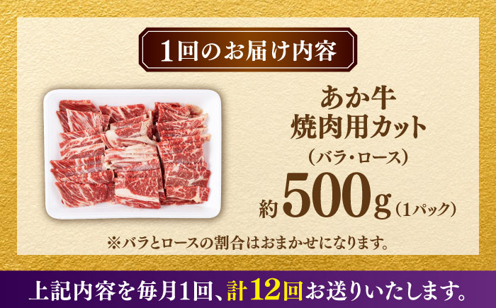 【全12回定期便】熊本あか牛 焼肉用カット ( バラ ロース ) 500g 【合同会社　長岡フーズ】 [ZFR044]