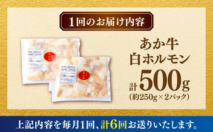 【全6回定期便】あか牛 白 ホルモン 500g (250g×2P) 【合同会社　長岡フーズ】 [ZFR051]