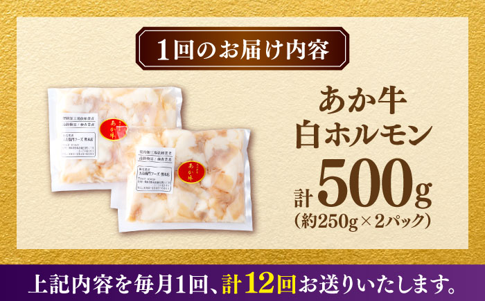 【全12回定期便】あか牛 白 ホルモン 500g (250g×2P) 【合同会社　長岡フーズ】 [ZFR052]