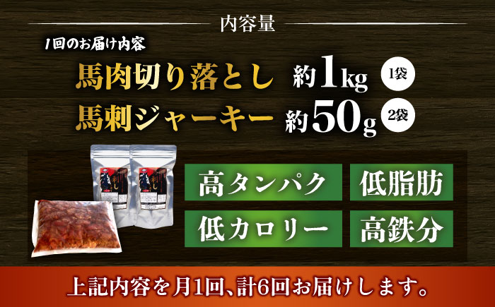 【全6回定期便】詰め合わせ 国内加工 ペット用 馬肉 切り落とし 1kg ペット用 馬刺しジャーキー 100g(50g×2) 【合同会社　長岡フーズ】 [ZFR067]