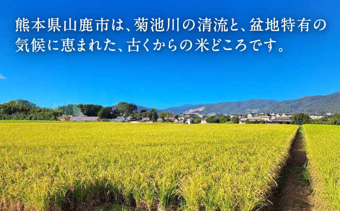 【先行予約】 ヒノヒカリ　玄米 6㎏（1㎏×6袋） 【株式会社　岩下農園】 [ZFS004]