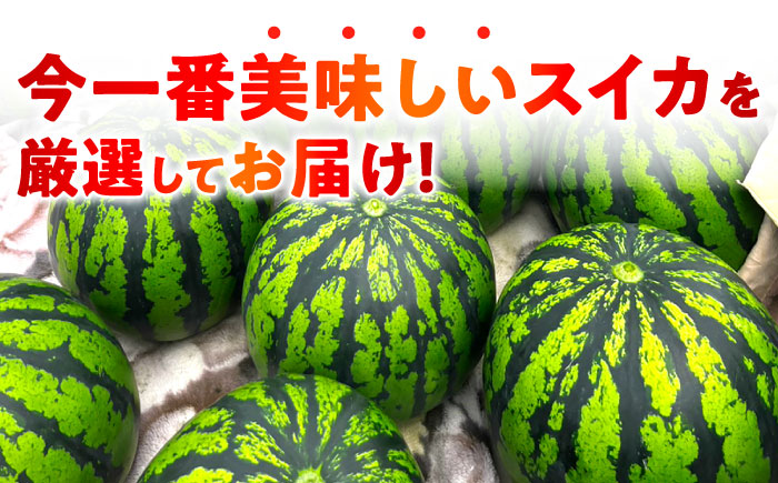 【先行予約】 大玉スイカ！ 特大サイズ（約11kg以上）　厳選 1玉！ すいかの名産地 熊本からお届け 【城野農園】 [ZFV003]