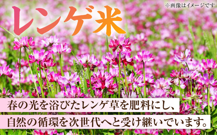 〈令和7年度産米〉 天然の栄養で実った おいしい一粒 レンゲ栽培 にこまる 無洗米 5kg 山鹿 お米 【ひなたのお米と野菜 大嶋】 [ZFW003]