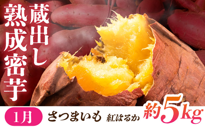 【先行予約】【3回定期便】 ほっこり幸せ！熊本・山鹿のあま～い冬支度　熟成芋と旬のフルーツ さつまいも みかん いちご ご褒美