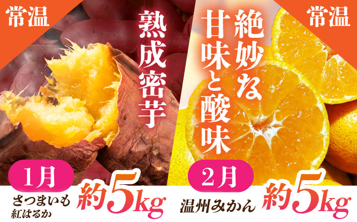 【先行予約】【6回定期便】 フルーツの名産地 山鹿から直送のあま～い幸せ 熟成芋と旬のフルーツ くまもと さつまいも みかん いちご すいか メロン ブルーベリー こだわり