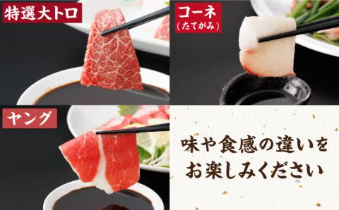 【12回定期便】馬刺し 特盛！バラエティセット 6種類 ?5・6人前? ＋タレ大【馬刺しの郷 民守】  肉 馬肉 馬 熊本県 特産品 特産 馬刺し  [ZBL105]