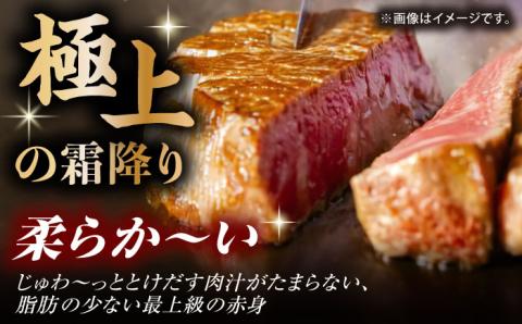 【3回定期便】くまもと黒毛和牛 ヒレステーキ 計1500g（10枚）【馬刺しの郷 民守】 熊本県産 九州産 和牛 お肉 肉 ステーキ ヒレ ヒレステーキ  [ZBL056]