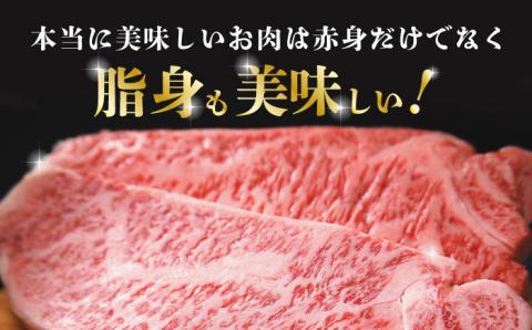 熊本県産 黒毛和牛 サーロイン ステーキ 2枚 約400g【有限会社九州食肉産業】 ロース 国産 贅沢 お取り寄せ ご褒美 [ZDQ035]