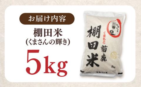 【数量限定】菊鹿 棚田米 5kg【ミヤタ 株式会社 】 米 こめ お米 ご飯 精米 熊本県産 山鹿市 [ZAH001]
